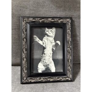 Vintage Cat Ephemera Newspaper Magazine Clipping Framed Art